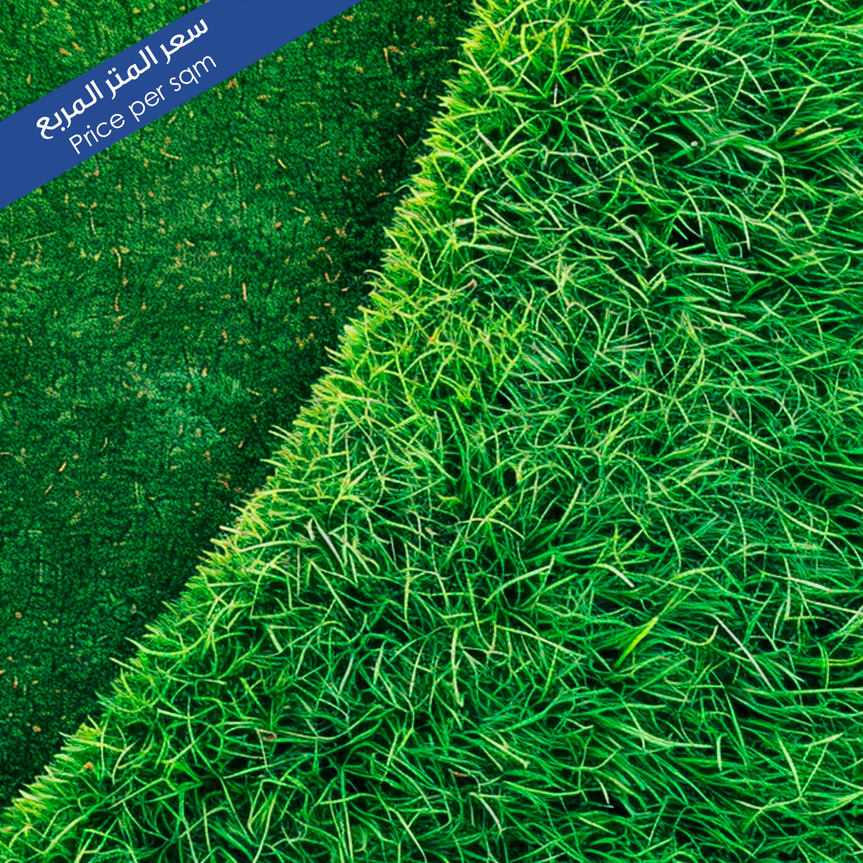 Artificial Grass
