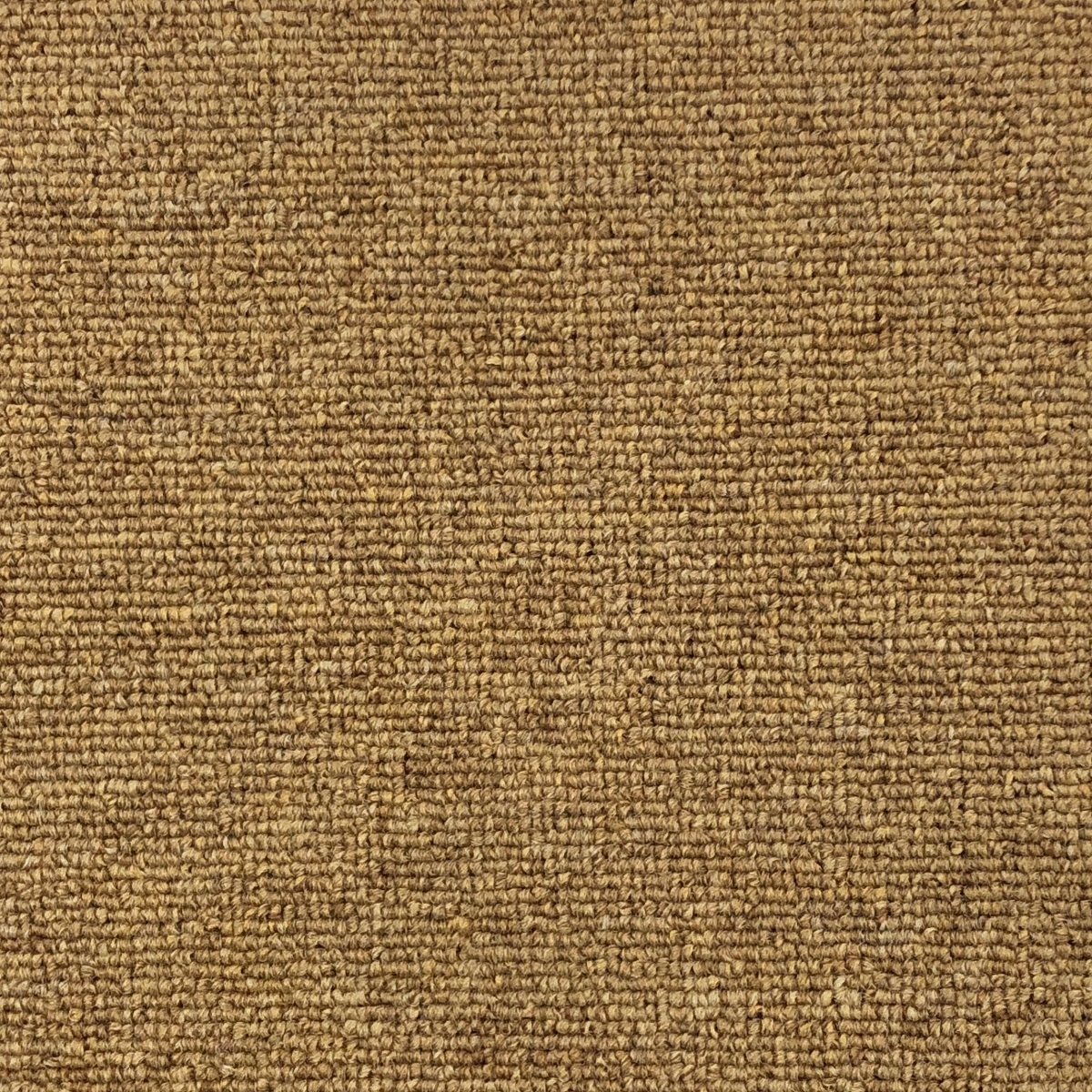 موكيت مكاتب كوزمك 643